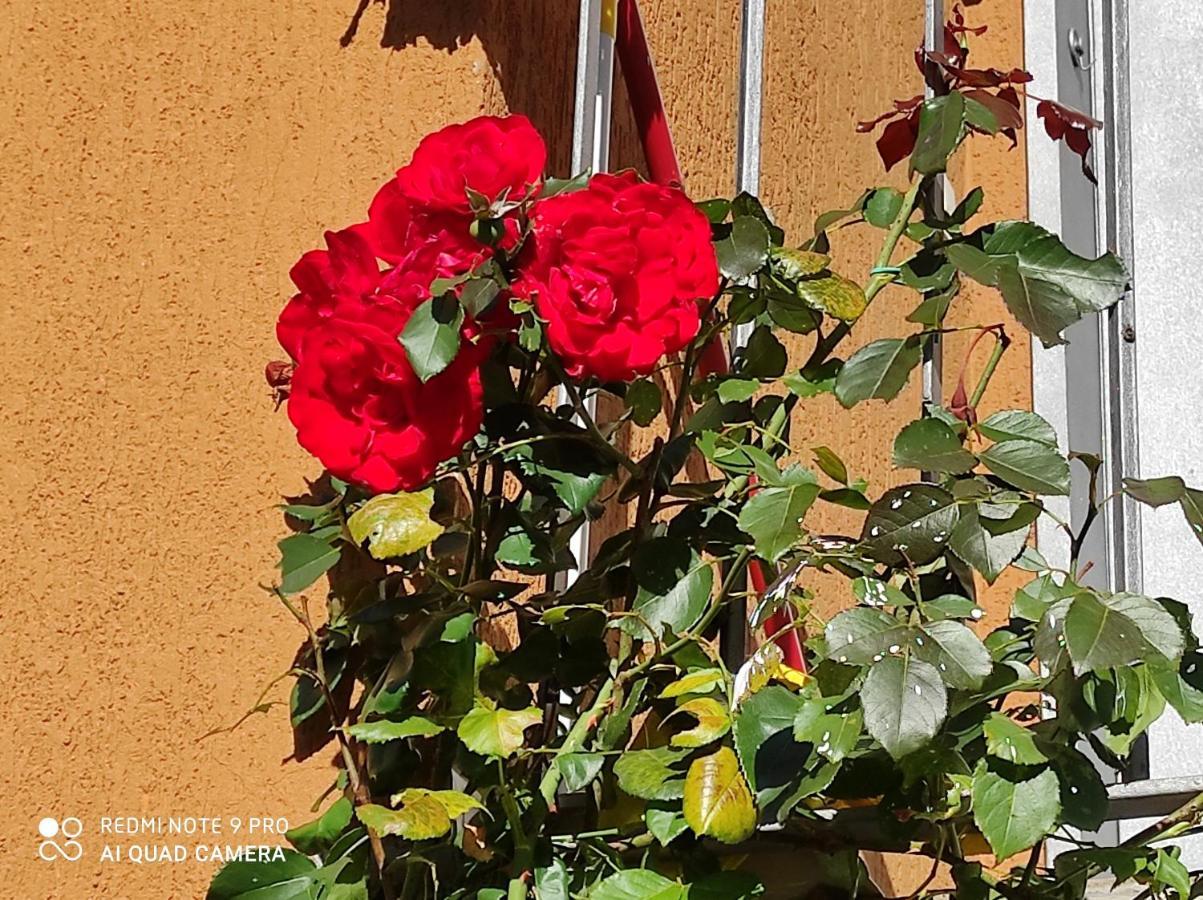 Beb Da Gaia E Giulio Bed & Breakfast Reno Di Leggiuno Exterior photo